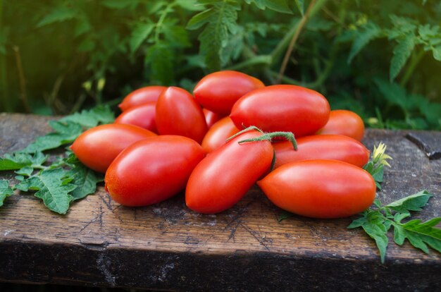 Tomates em uma mesa de madeira