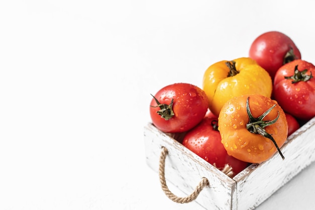 Tomates frescos de colores rojo amarillo naranja en una caja rústica blanca sobre fondo blanco con espacio para copiar