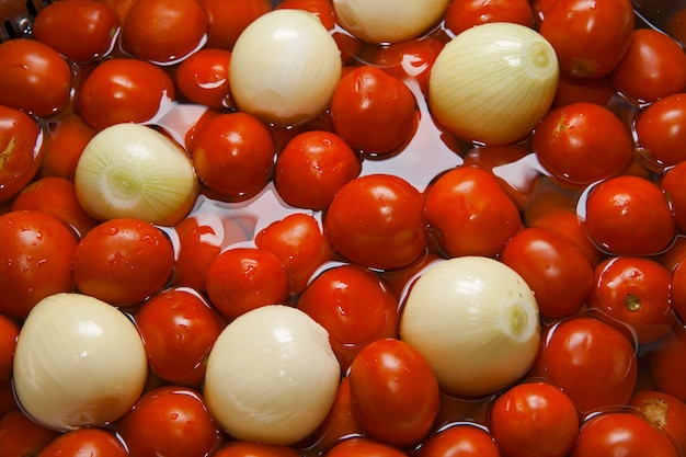 Tomates frescos e bulbos na água