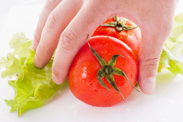 Tomates frescos em um branco