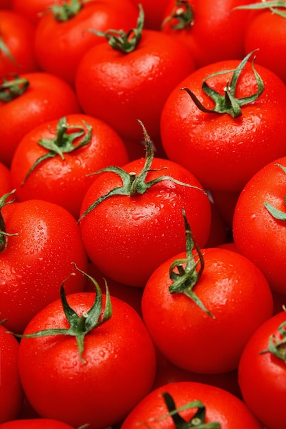 tomates frescos con fondo de gotas de agua