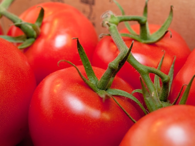 Tomates frescos grandes.