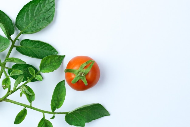 Tomates frescos con hojas y verduras