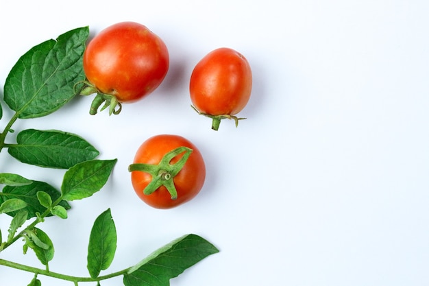 Foto tomates frescos con hojas y verduras