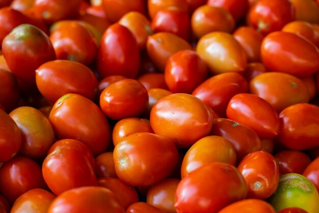 Tomates frescos en el mercado