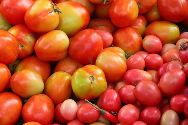 Tomates frescos no mercado