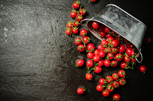 Tomates frescos numa mesa preta