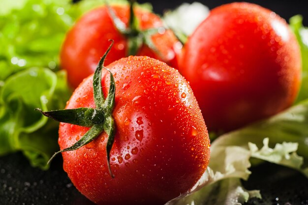 Foto tomates frescos se puede utilizar como fondofondo de hojas de ensalada verde tomates frescos
