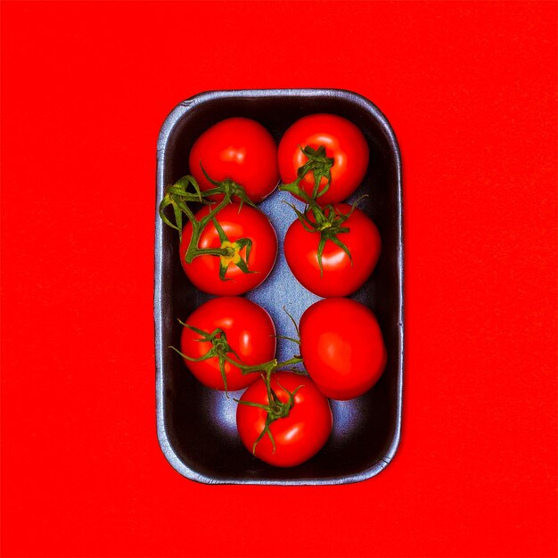 Tomates frescos en rojo. Estilo de color minimalista