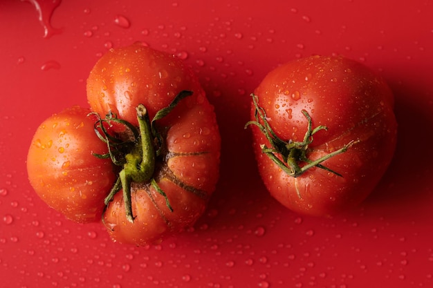 Foto tomates frescos rojos aislados sobre fondo rojo cosecha estacional de verduras orgánicas ecológicas