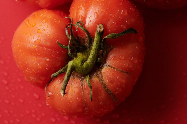 Foto tomates frescos rojos aislados sobre fondo rojo cosecha estacional de verduras orgánicas ecológicas