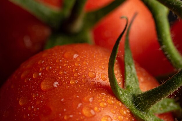 Tomates, hermosos tomates con gotas de agua dispuestas sobre una superficie oscura, enfoque selectivo.