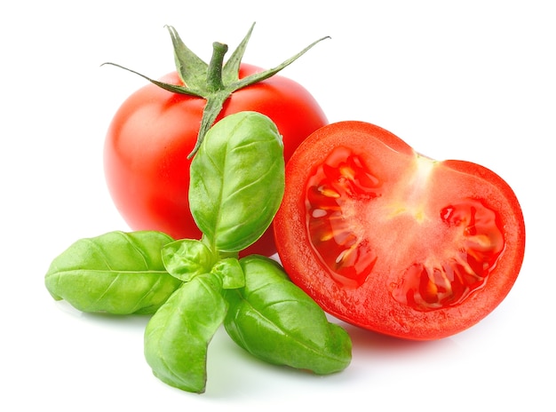 Tomates y hojas de albahaca aisladas en blanco de cerca. Verduras