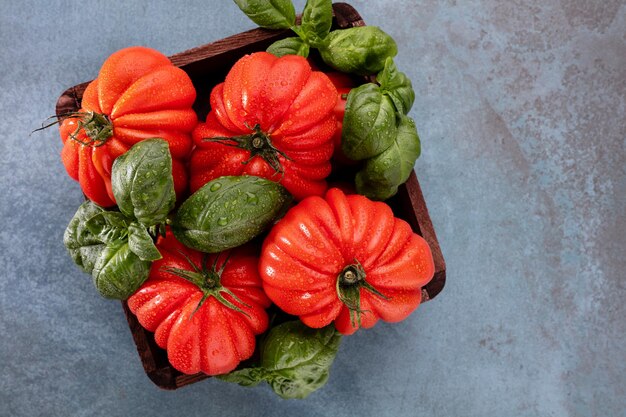 Tomates con hojas de albahaca, gotas de agua de cerca.