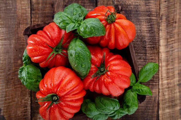 Tomates con hojas de albahaca, gotas de agua de cerca.