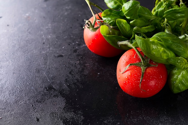 Tomates y hojas de albahaca