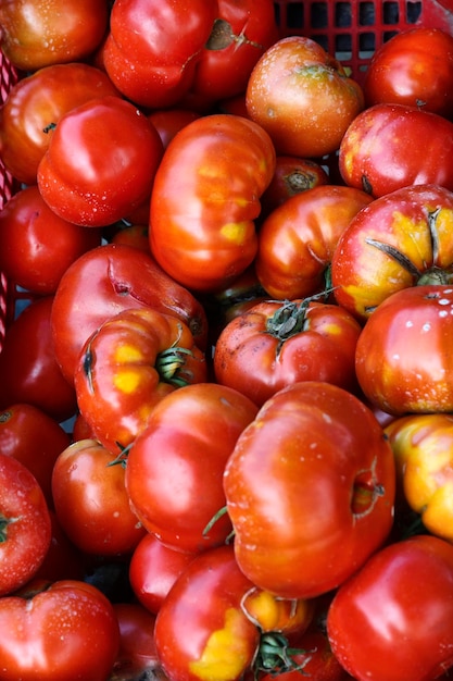 Foto tomates italianos de italia a la venta en una tienda