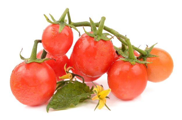 Tomates jugosos en blanco