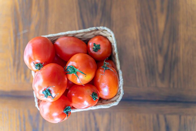 Tomates maduros en una canasta después de la cosecha anual