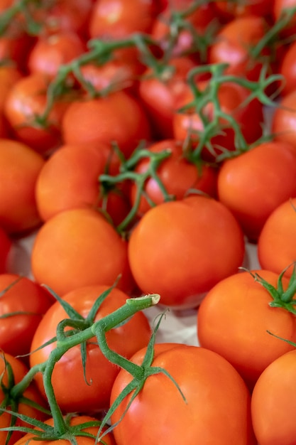 Tomates maduros y rojos.