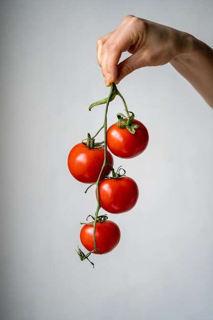 Tomates maduros vermelhos frescos no galho na mão sobre fundo cinza claro Alimentos crus para uma dieta vegana saudável