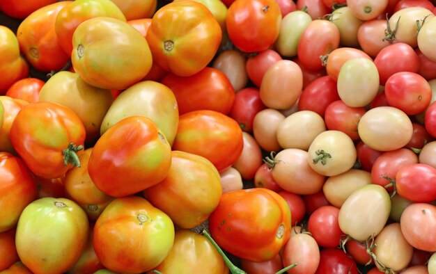 tomates no mercado