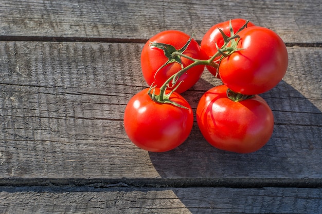 Tomates no ramo na placa de madeira. Espaço para texto.