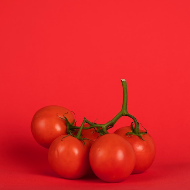 Foto tomates nos ramos com fundo vermelho