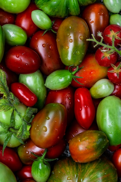 Tomates orgánicos coloridos en un plato vintage