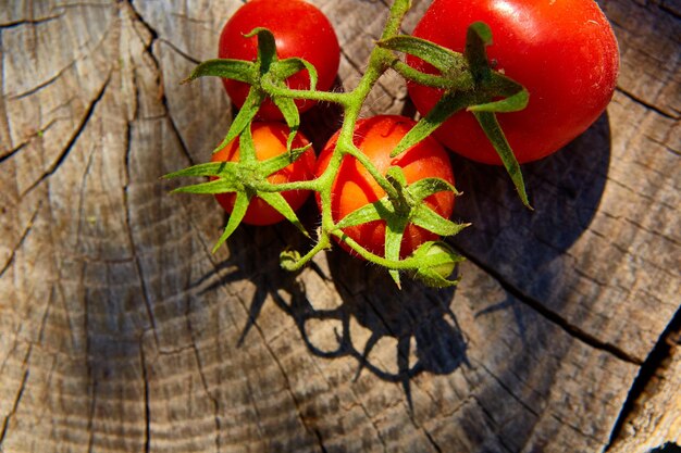 Foto tomates orgânicos frescos na mesa de madeira