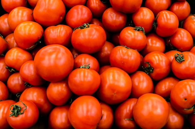 Tomates orgânicos frescos vendidos no mercado