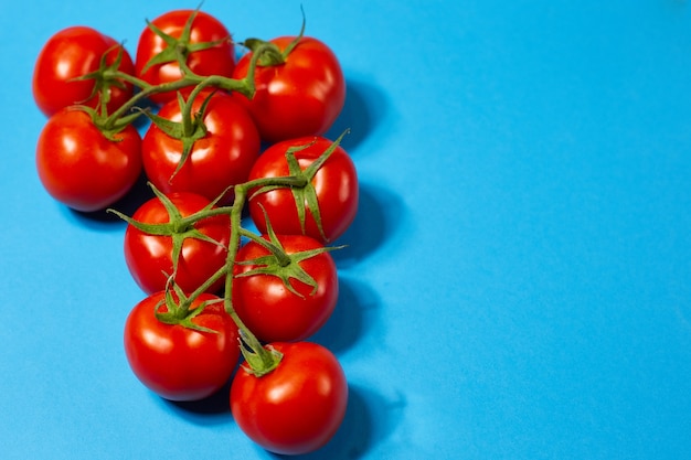 Tomates orgânicos vermelhos em um galho verde sobre um fundo azul