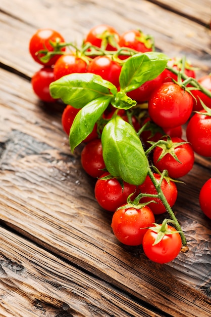 Tomates pequeños frescos