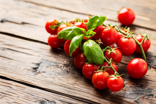 Tomates pequeños frescos