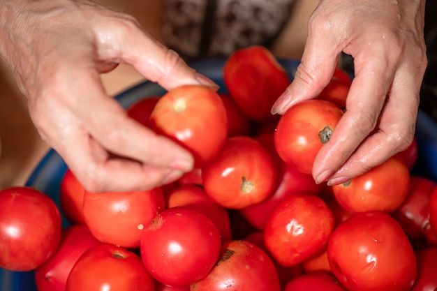 Tomates pequeños, maduros y rojos