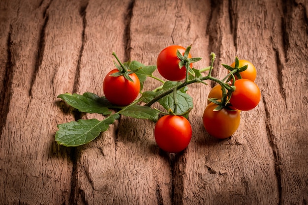 Tomates en placa de madera sobre fondo negro