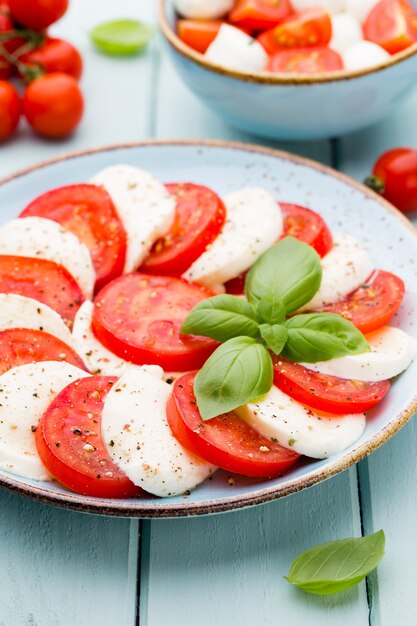 Tomates, queso mozzarella, albahaca y especias en pizarra de piedra pizarra gris. Ingredientes de la ensalada caprese tradicional italiana. Comida mediterránea.