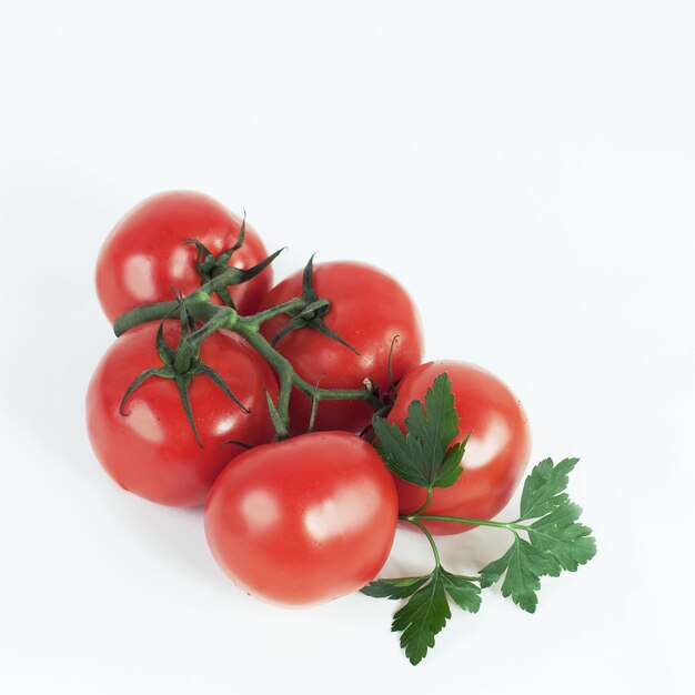 Tomates en una rama aislado fondo blanco.