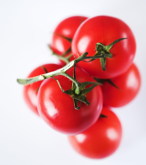 Tomates en una ramita verde sobre fondo blanco.