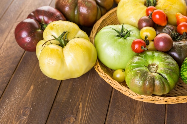 Tomates reliquia orgánicos de la granja del patio trasero.