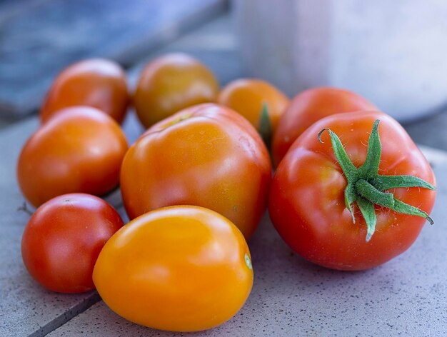 Tomates rojos y amarillos sobre la mesa en verano al cosechar