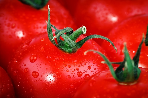 Tomates rojos crudos.