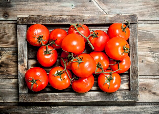 Tomates rojos fragantes en bandeja