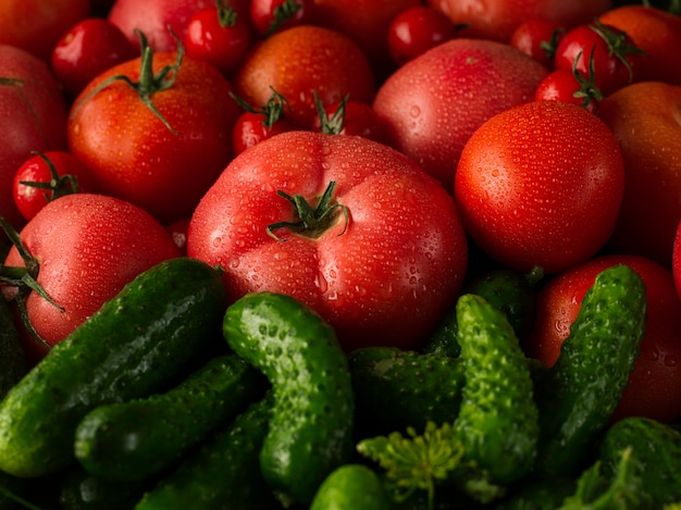 Tomates rojos frescos y pepinos verdes, nueva cosecha de vegetales