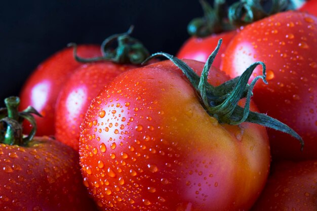 Tomates rojos frescos