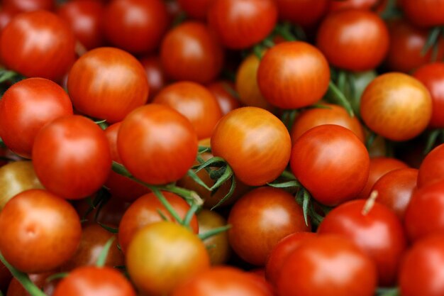 Tomates rojos jugosos en el fondo aislado