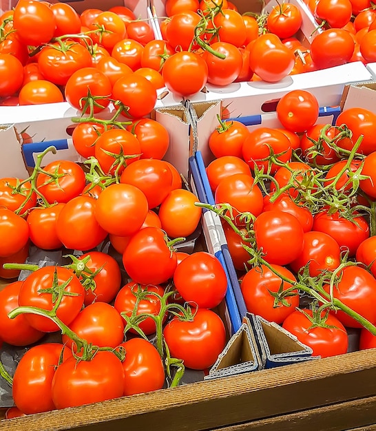 Tomates rojos maduros colocados en cajas de cartón en una tienda