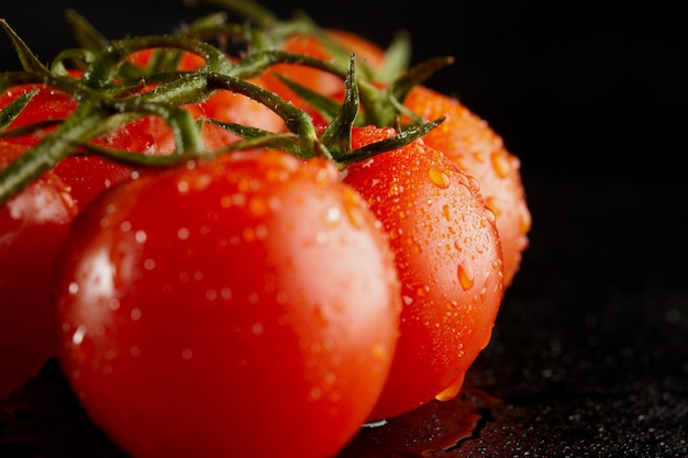 Tomates rojos maduros frescos en una vid con gotas de agua aisladas en negro
