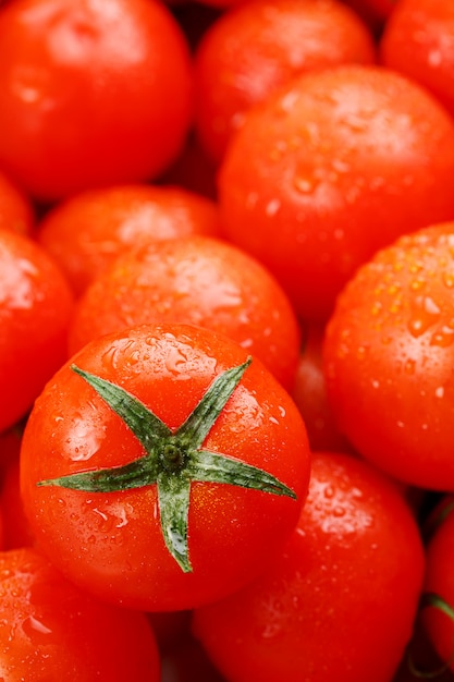 Tomates rojos maduros, con gotas de rocío.