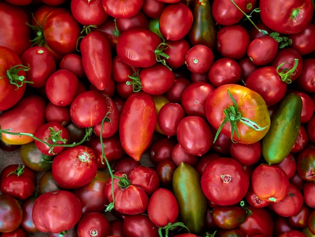 tomates rojos maduros